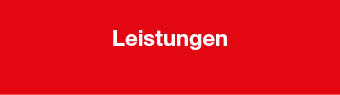 Leistungen des Pallaitivteams